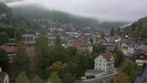 Webcam Bad Wildbad